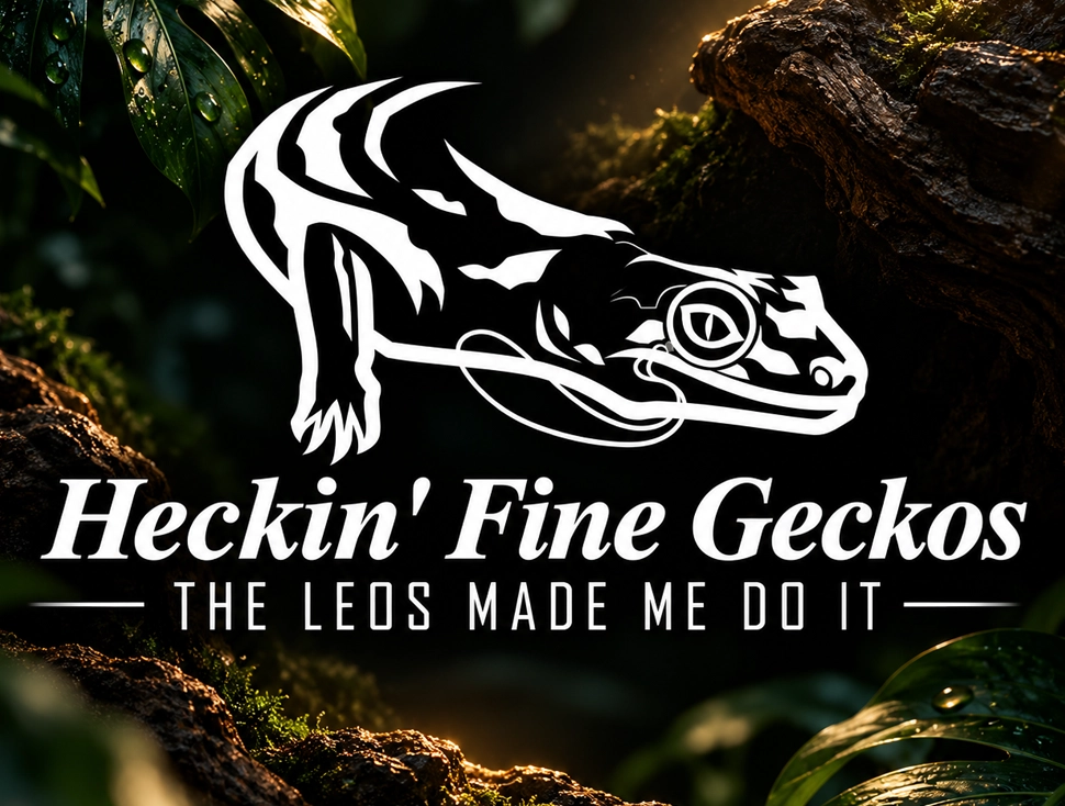 HECKIN FINE GECKOS project by YXE Web Studios